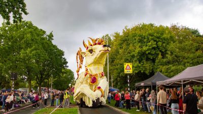 Bloemencorso Lichtenvoorde (29)
