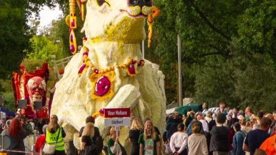 Bloemencorso Lichtenvoorde (30)