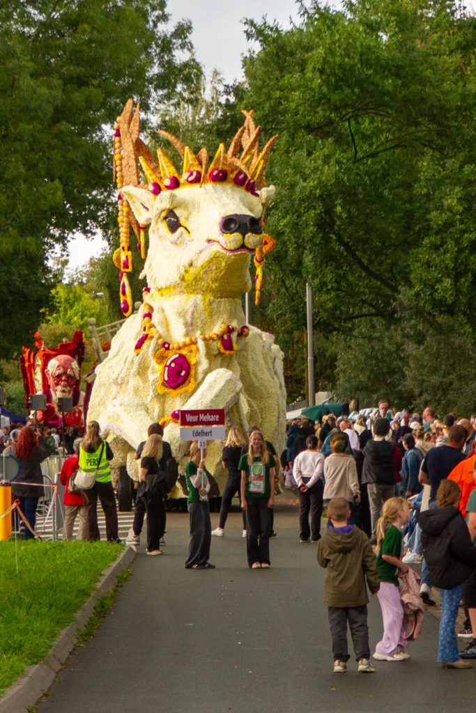 Bloemencorso Lichtenvoorde (30)