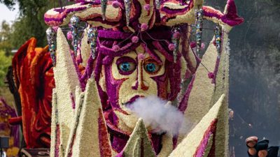 Bloemencorso Lichtenvoorde (39)