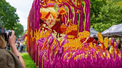 Bloemencorso Lichtenvoorde (43)