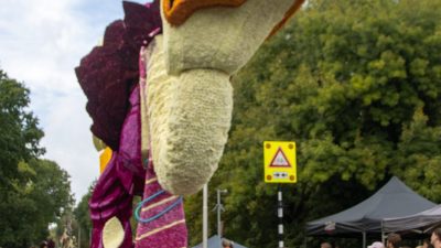 Bloemencorso Lichtenvoorde (44)