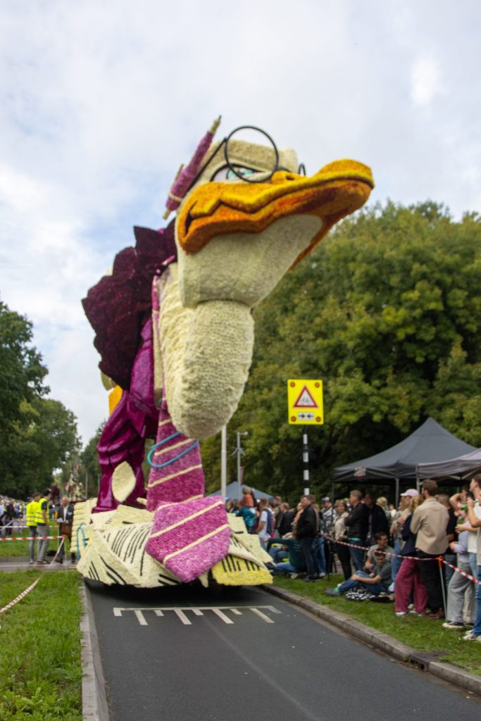 Bloemencorso Lichtenvoorde (44)