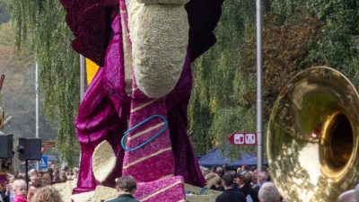 Bloemencorso Lichtenvoorde (49)