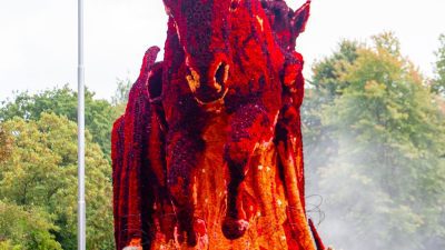 Bloemencorso Lichtenvoorde (51)