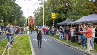 Bloemencorso Lichtenvoorde (6)