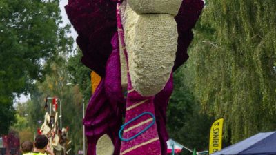Bloemencorso Lichtenvoorde (60)