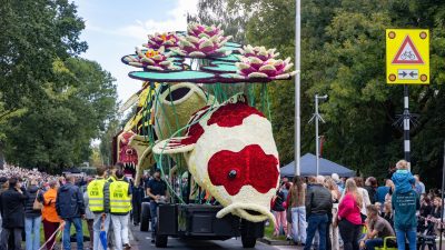Bloemencorso Lichtenvoorde (8)