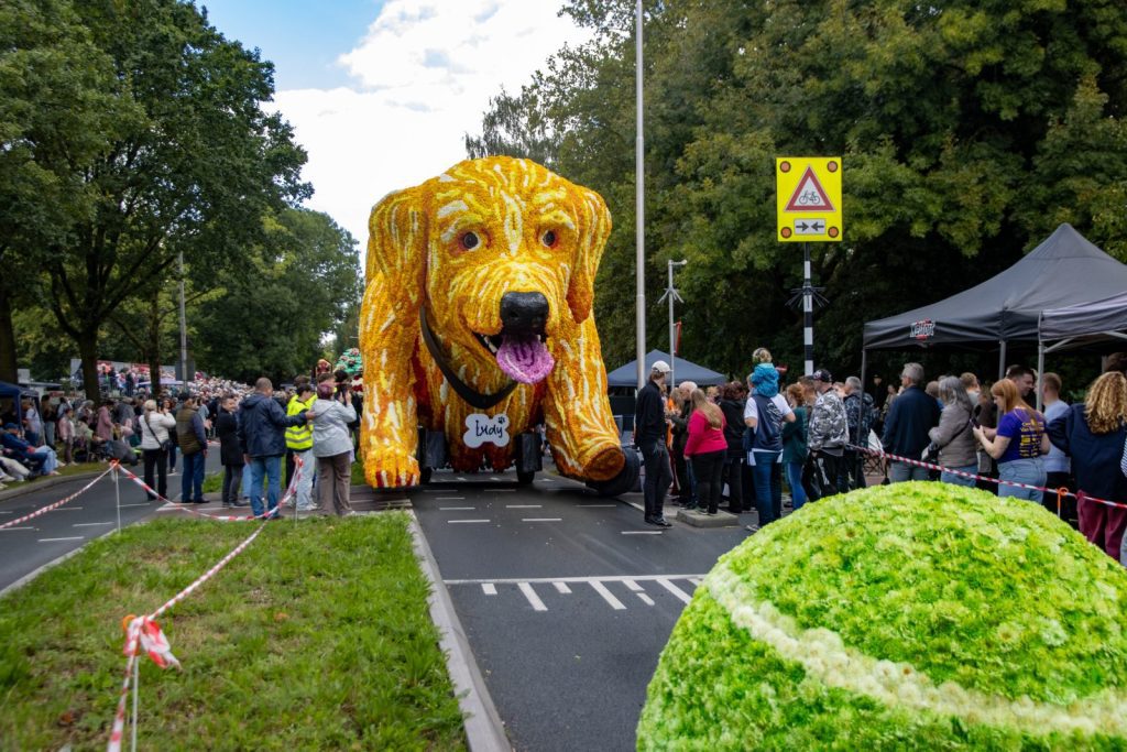 Bloemencorso Lichtenvoorde (9)