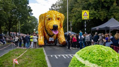 Bloemencorso Lichtenvoorde (9)