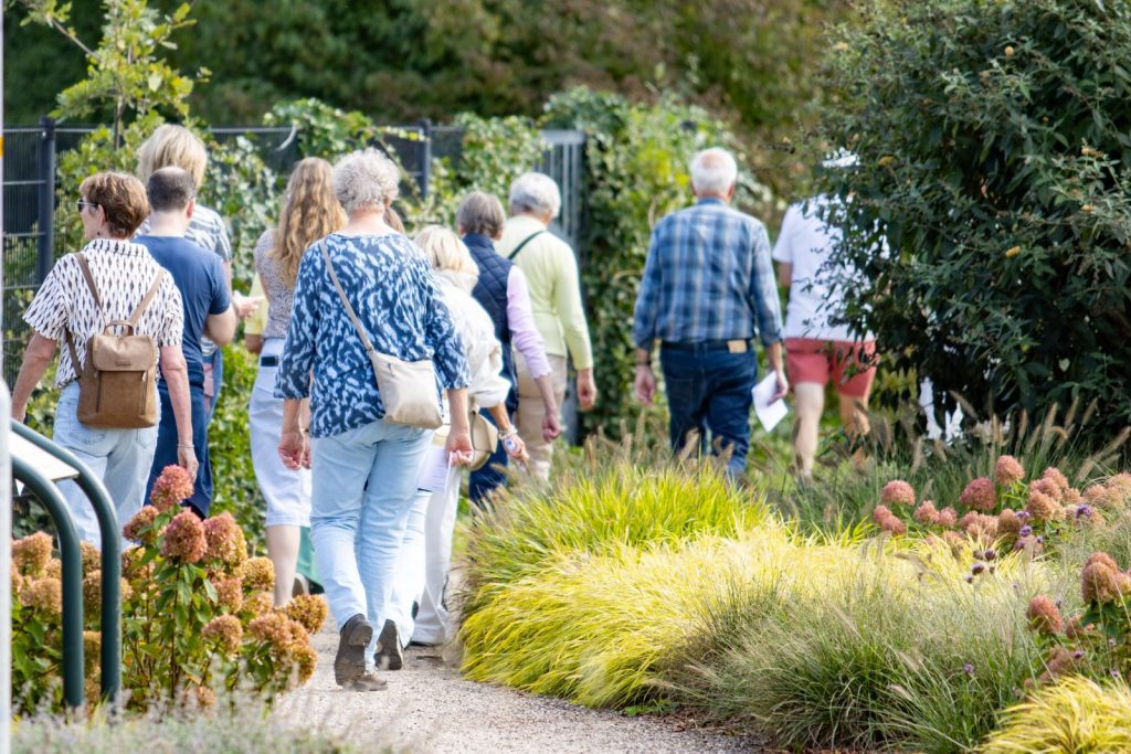Najaarszomerwandeling 2026 (6)