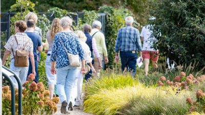 Najaarszomerwandeling 2026 (6)